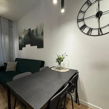Apartament Urban Nest Plebiscytowa *